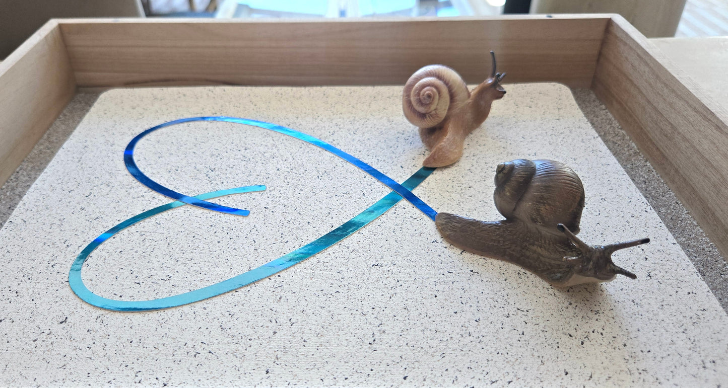 Snail Trail "Trails of the Heart"