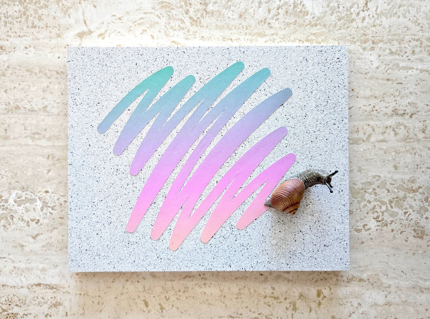 Snail Trail "Scribble" in Pastel Gradient