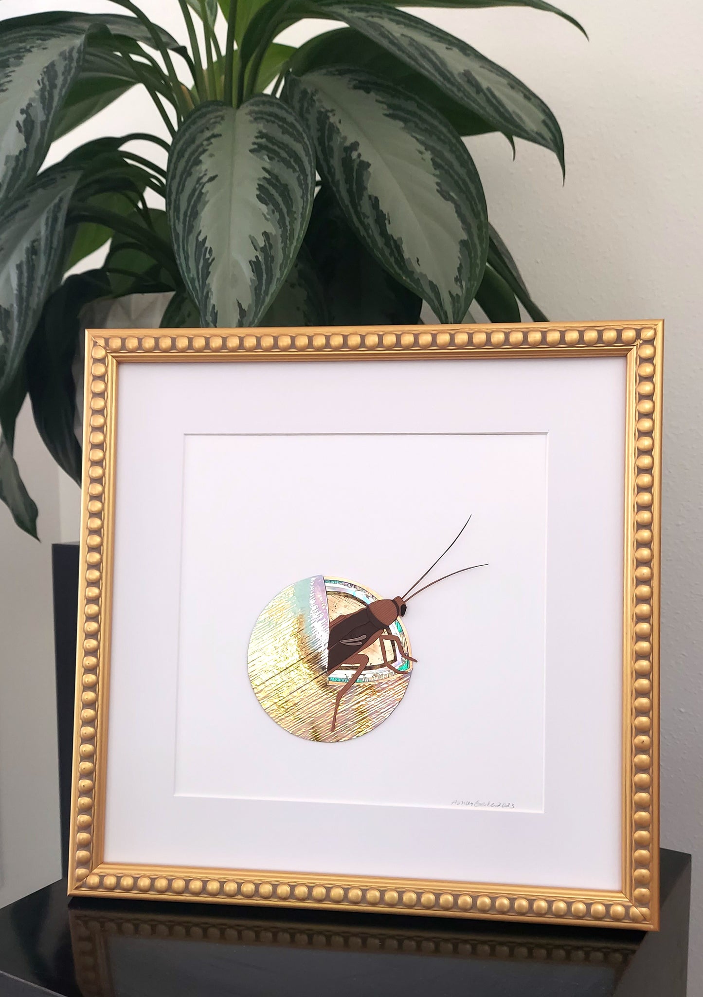 Roach in a Pearl