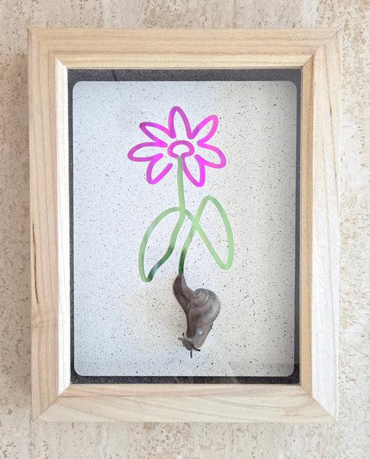 Snail Trail "Flower Delivery"