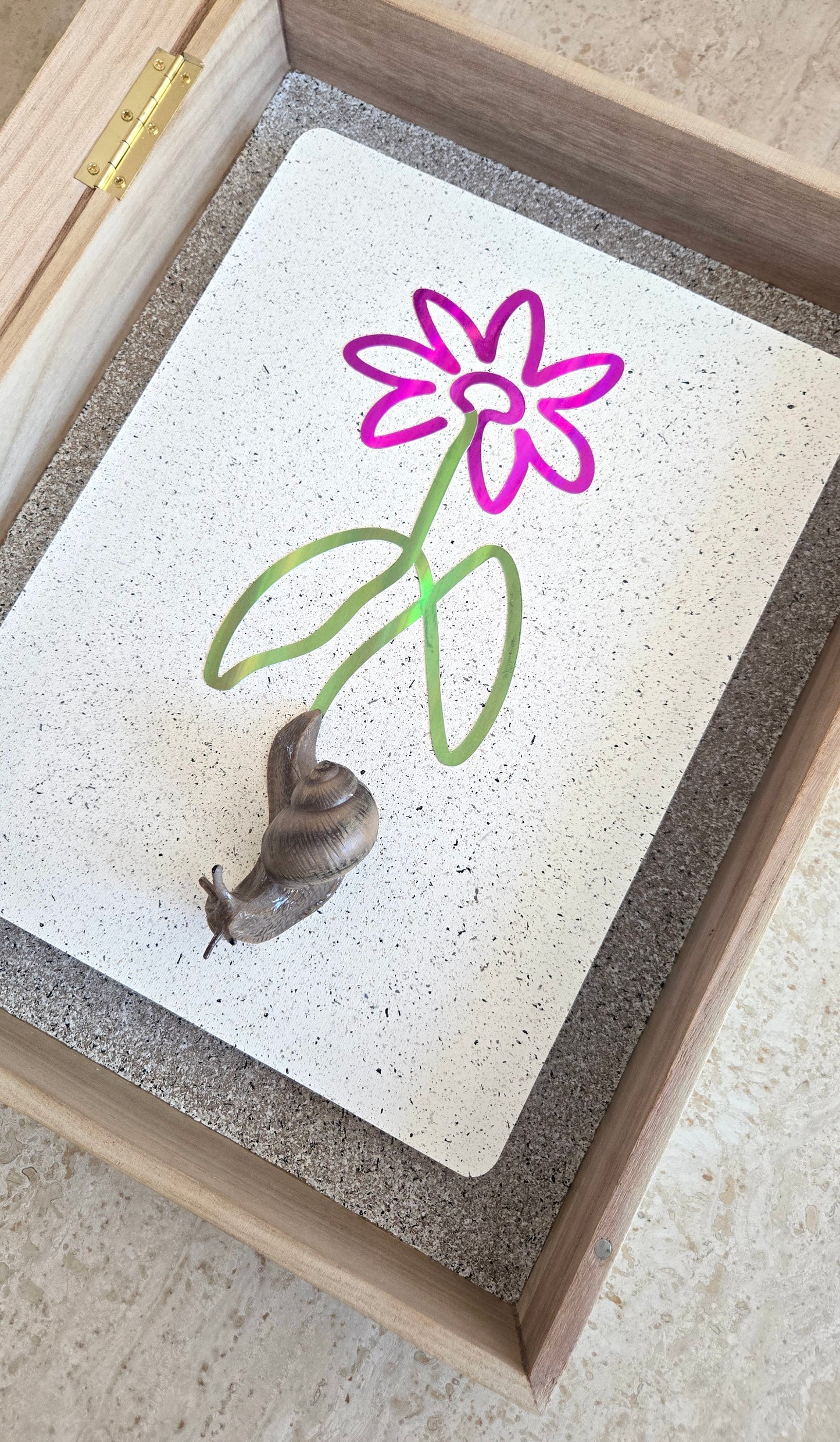 Snail Trail "Flower Delivery"