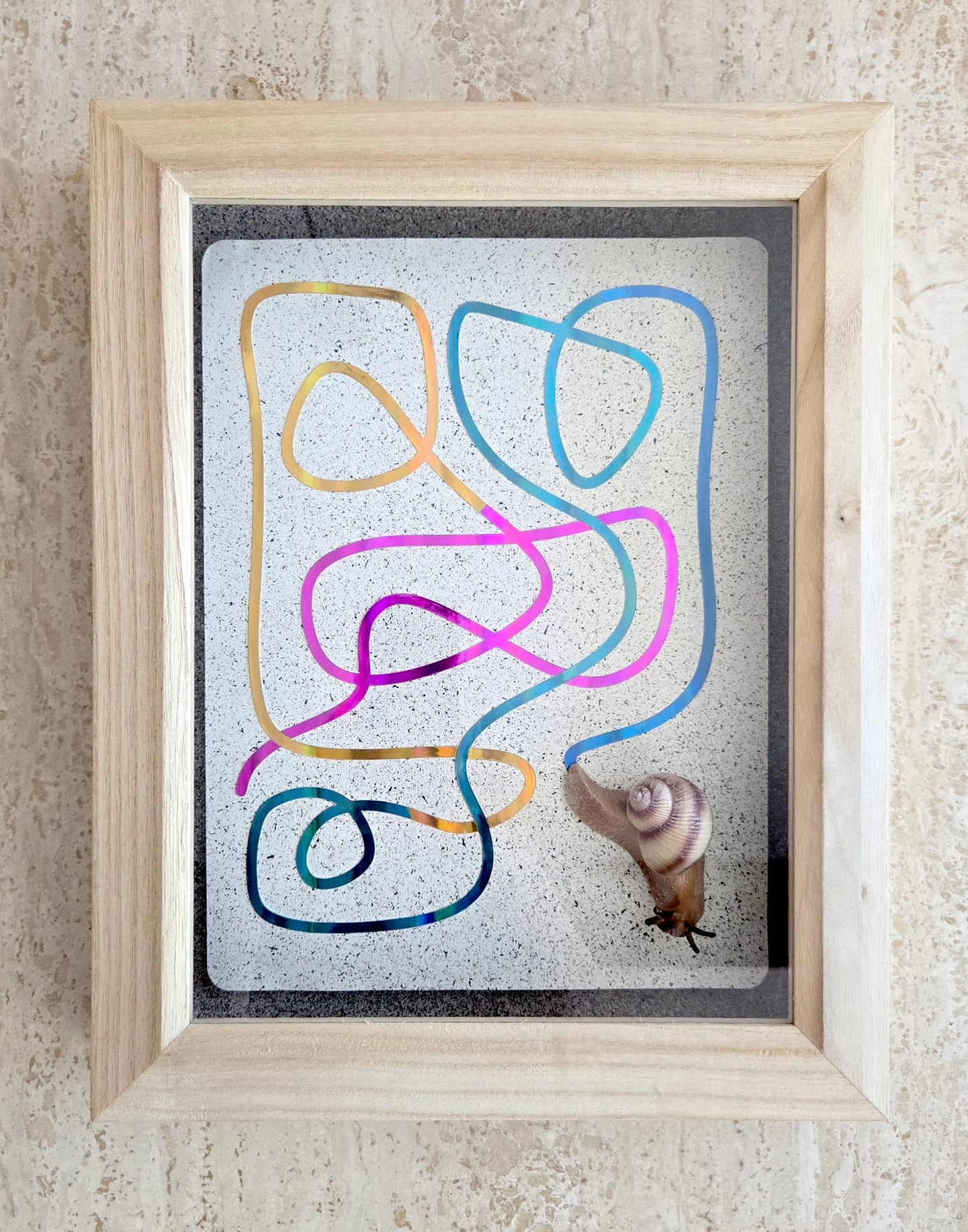 Snail Trail "An Abstract Expression"