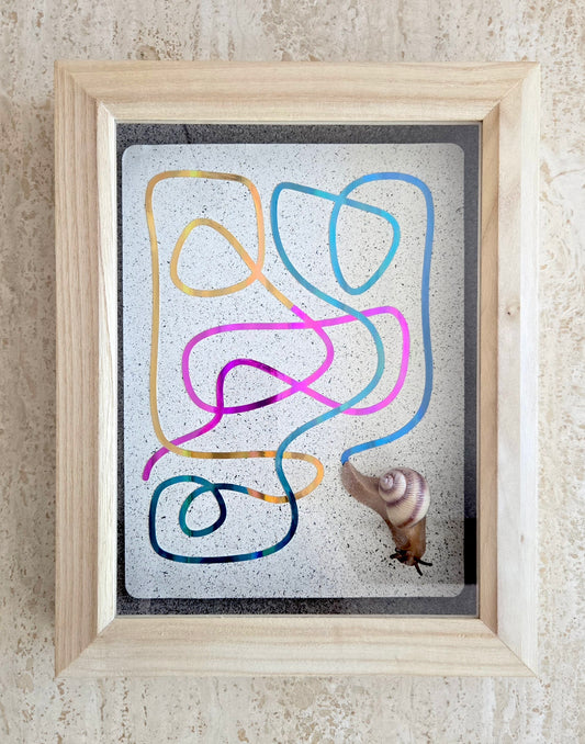 Snail Trail "An Abstract Expression"