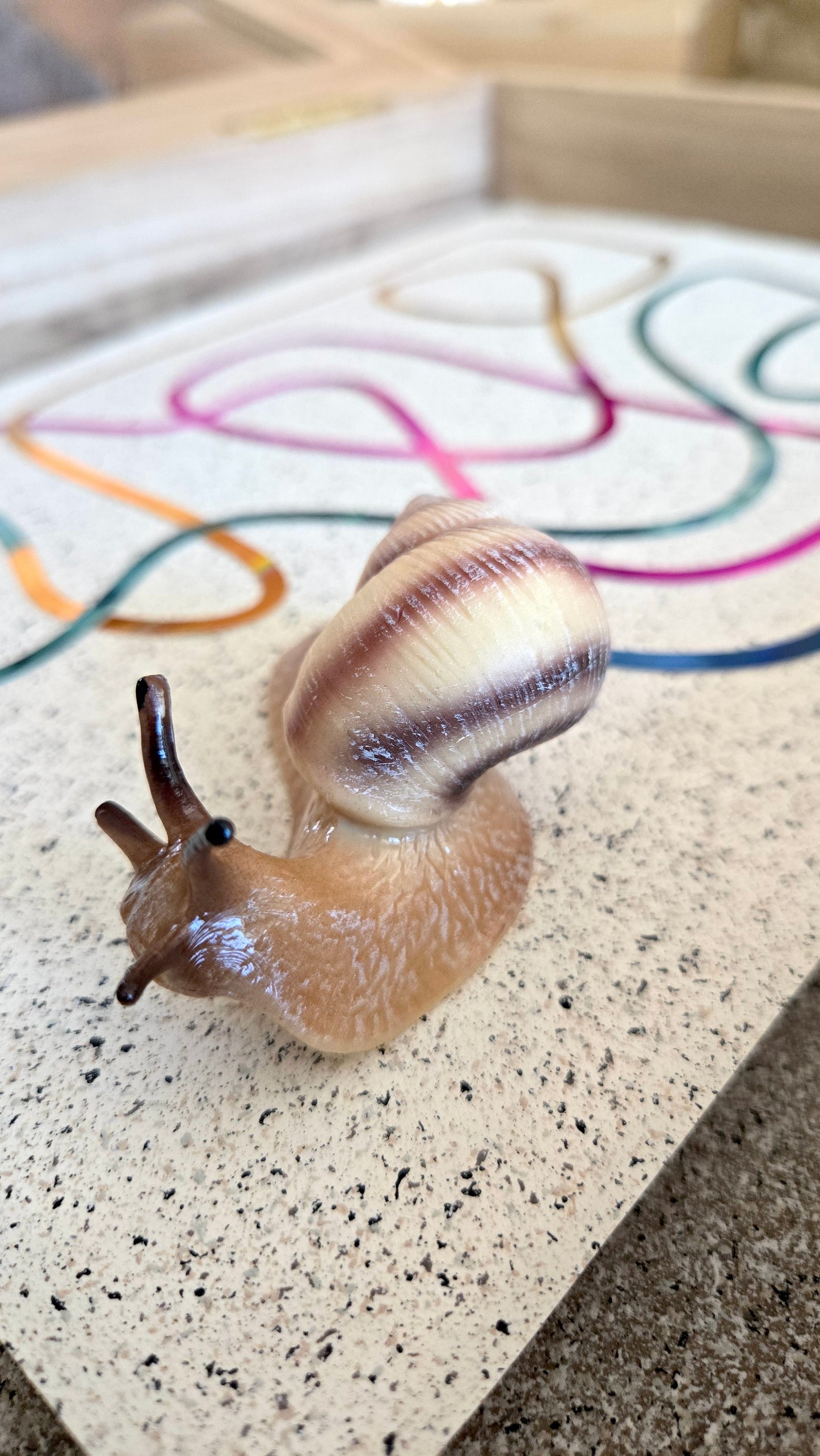 Snail Trail "An Abstract Expression"