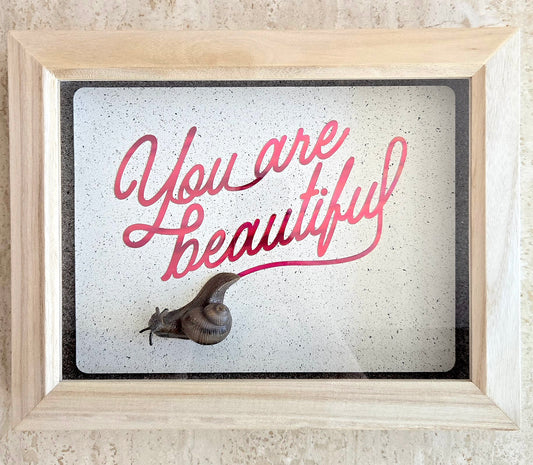 Snail Trail "You Are Beautiful"