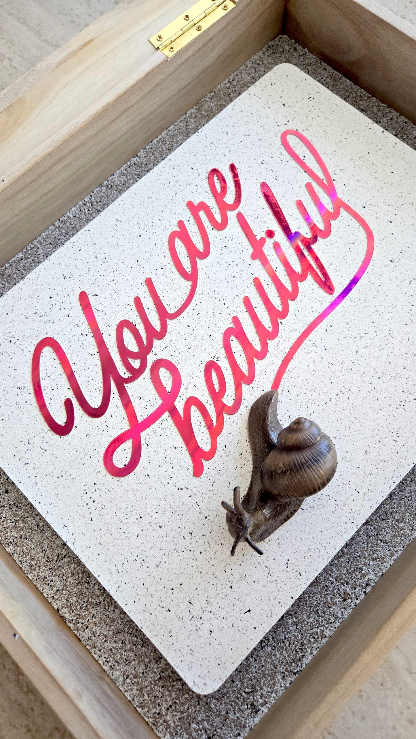 Snail Trail "You Are Beautiful"