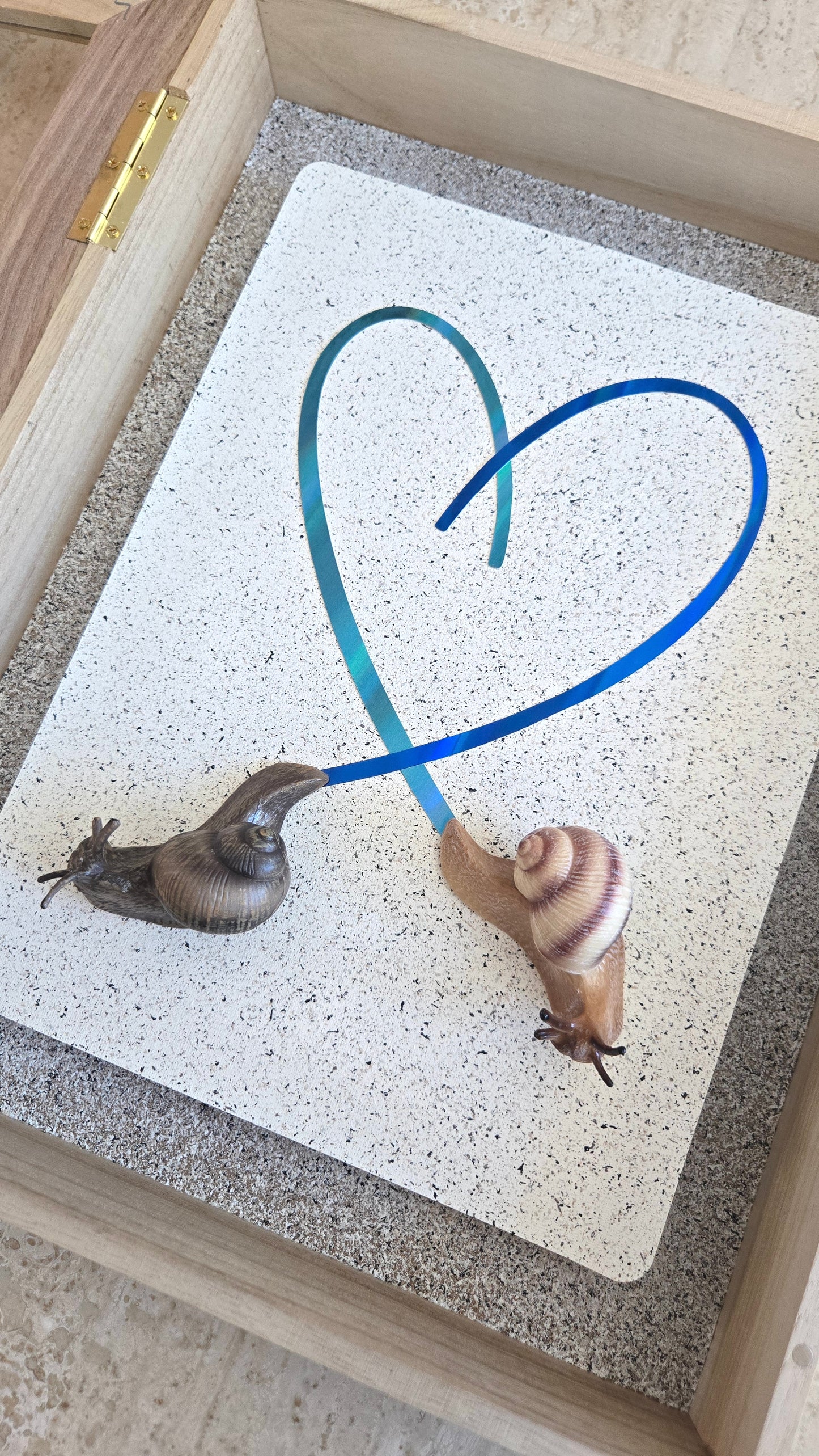 Snail Trail "Trails of the Heart"