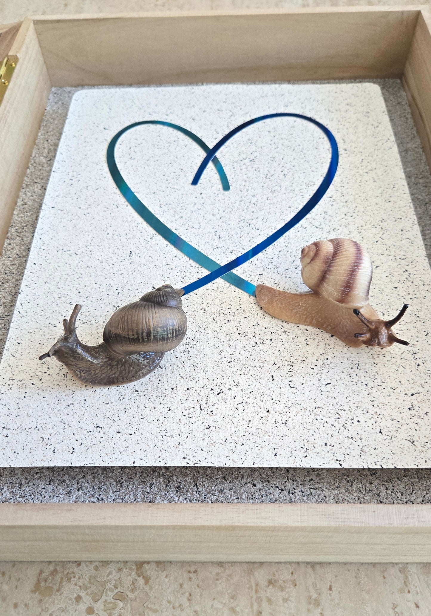 Snail Trail "Trails of the Heart"