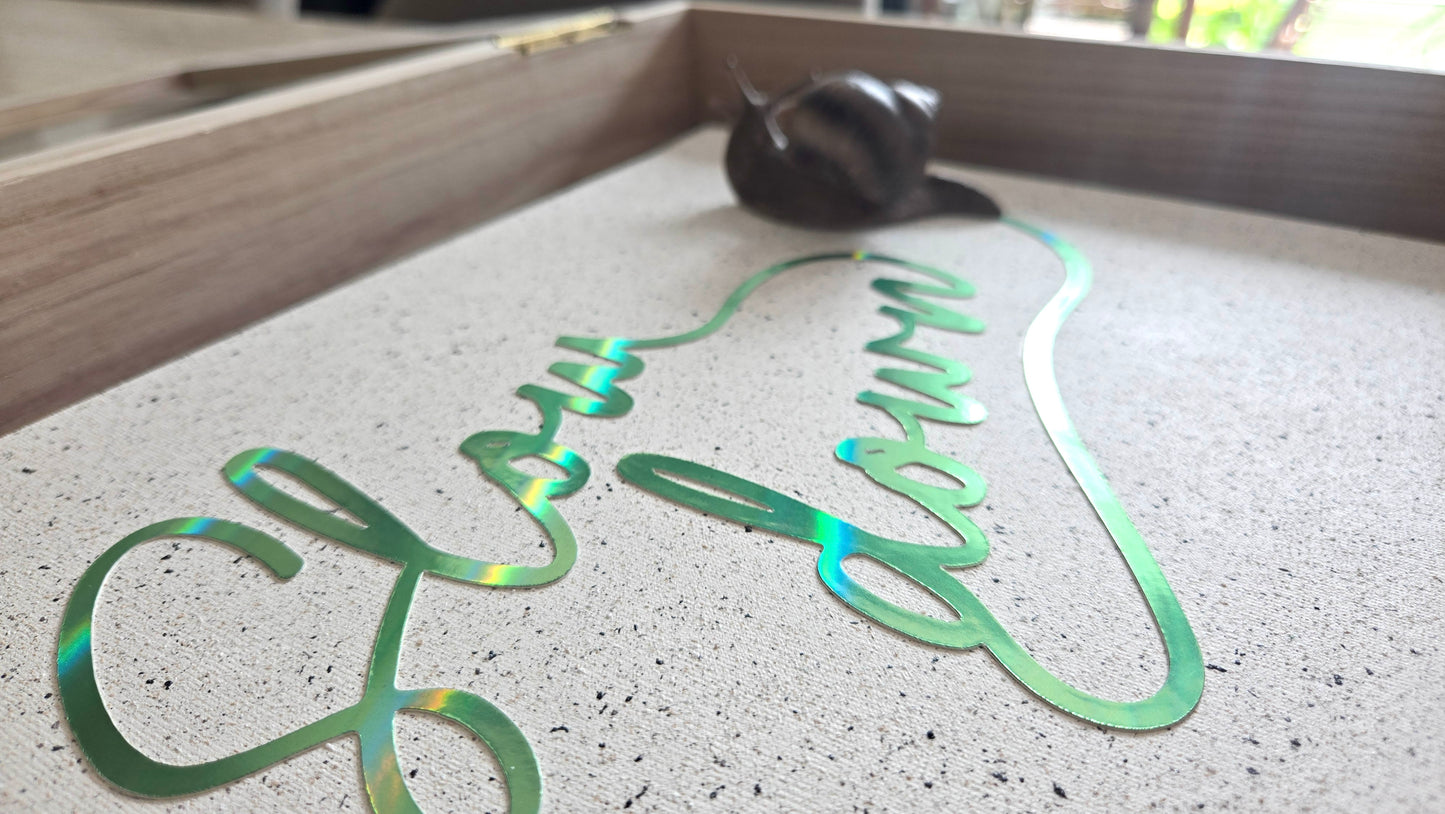 Snail Trail "Slow Down"