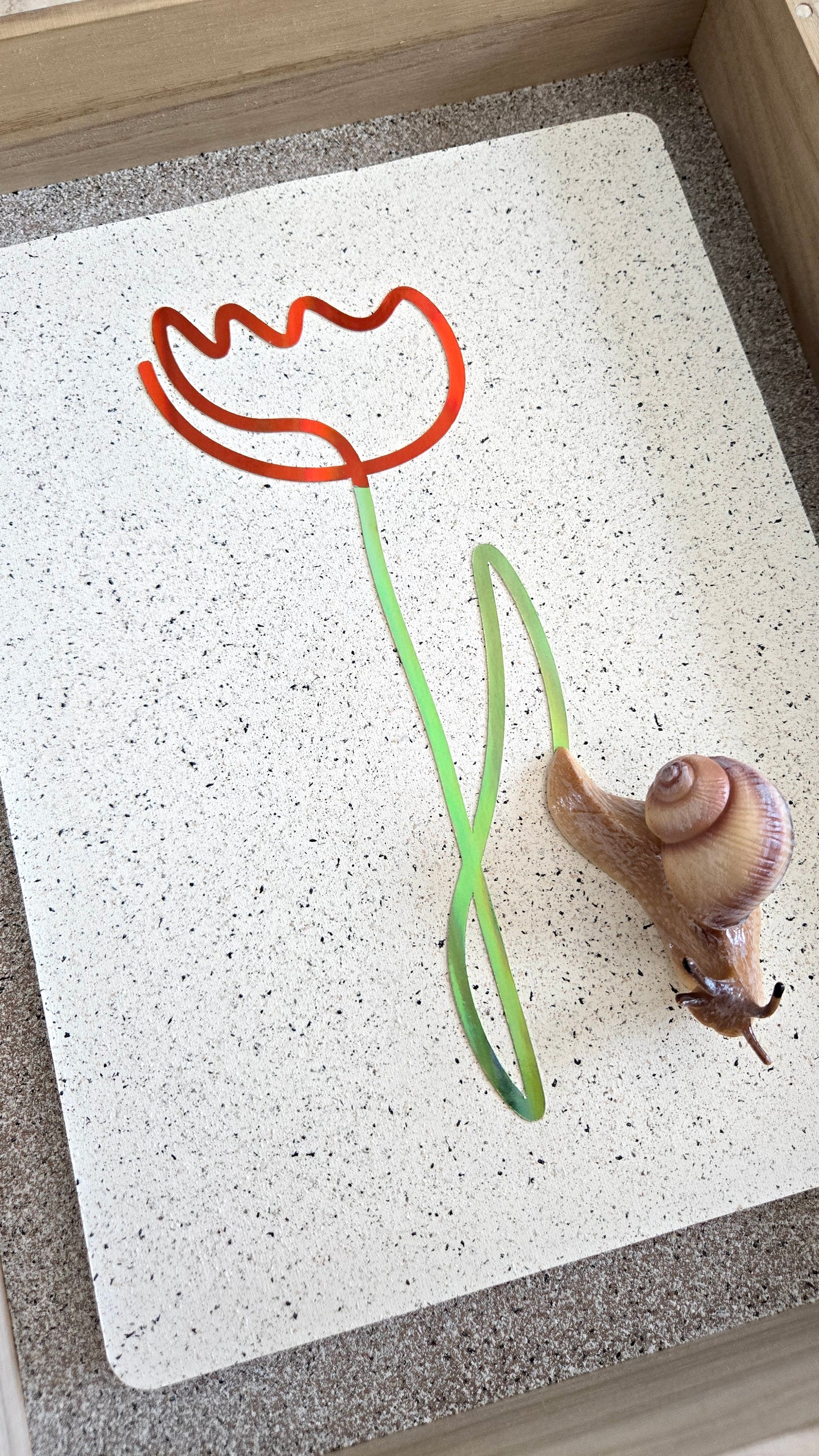 Snail Trail "Red Tulip"