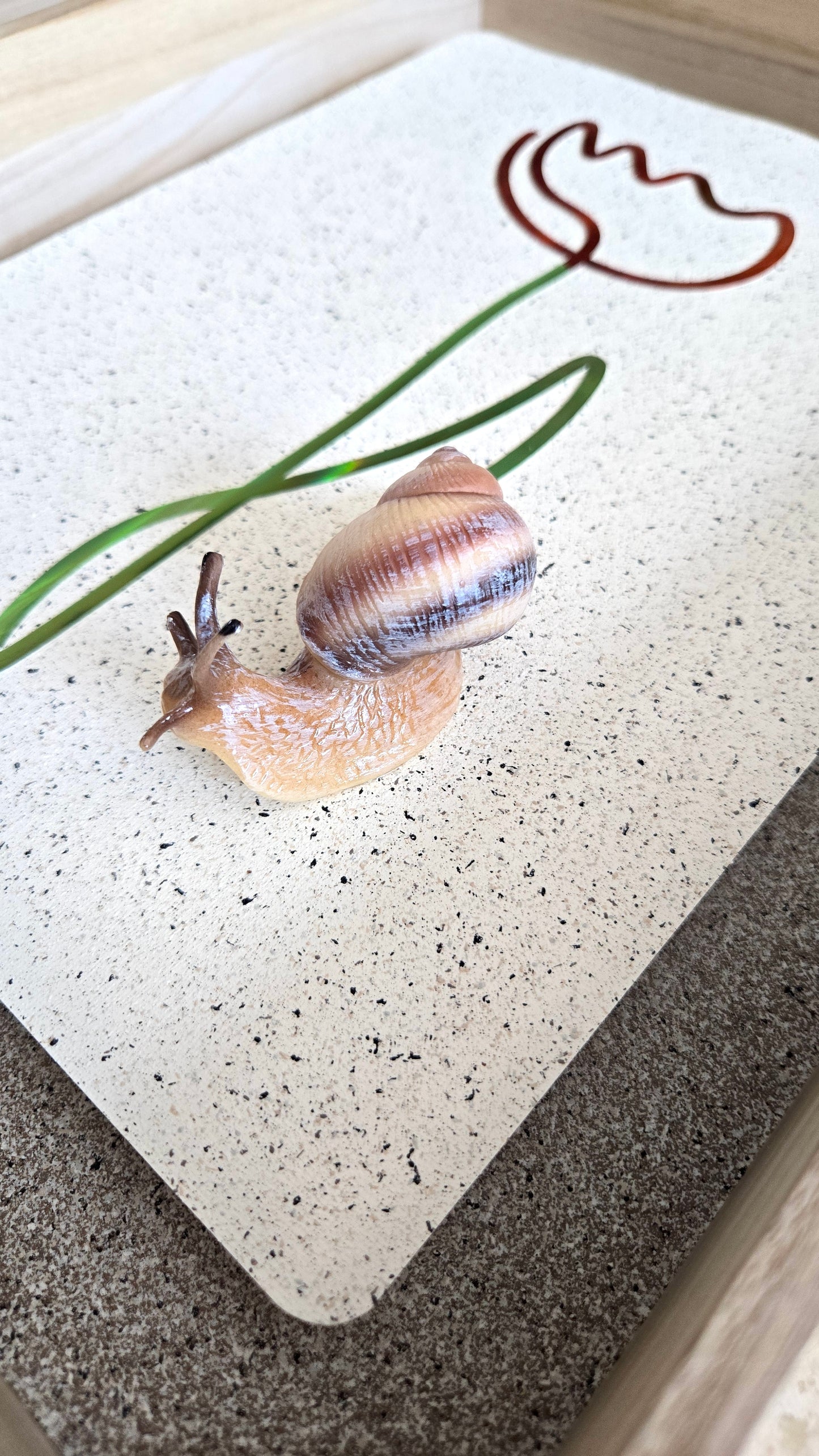Snail Trail "Red Tulip"