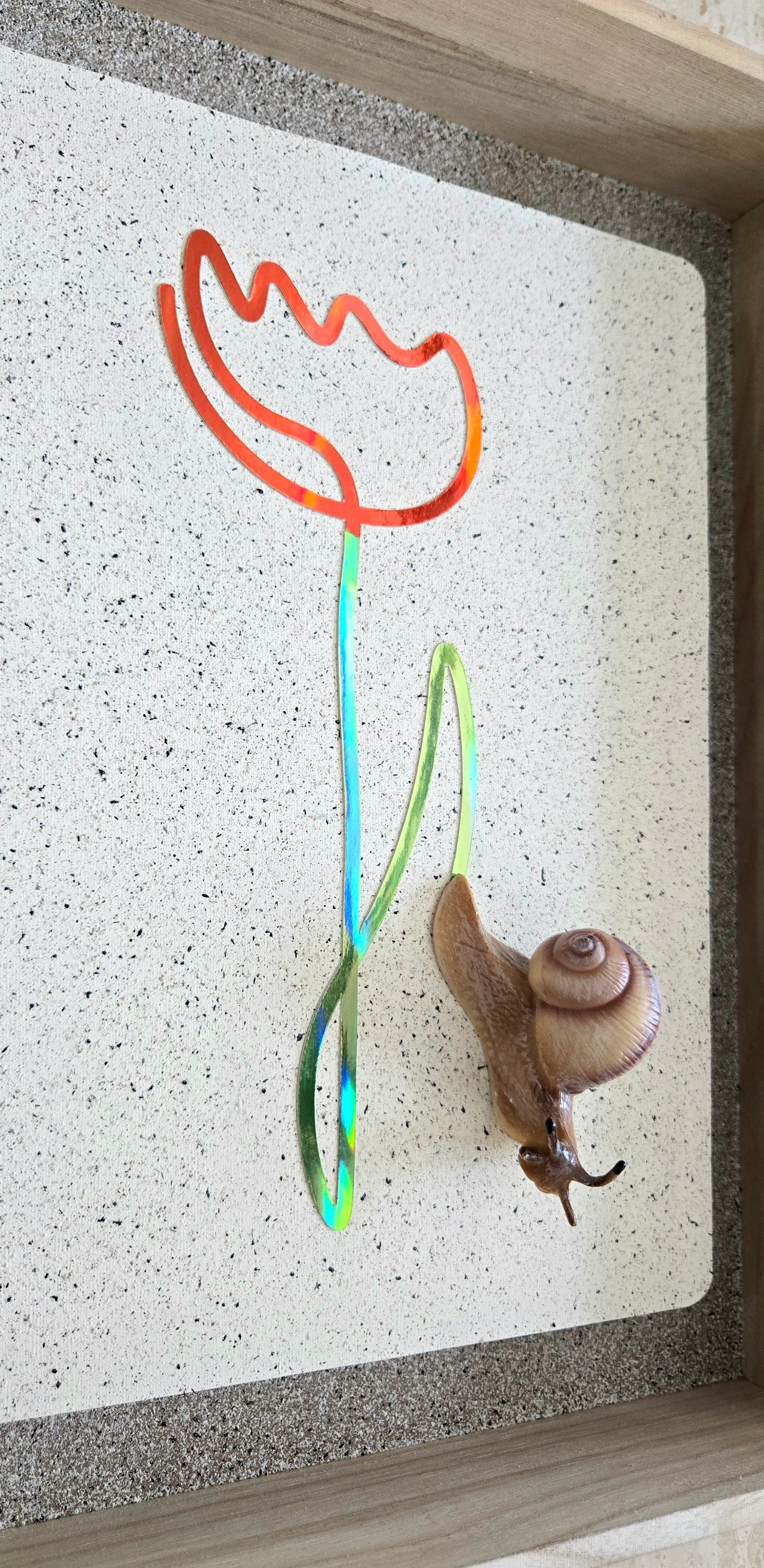 Snail Trail "Red Tulip"