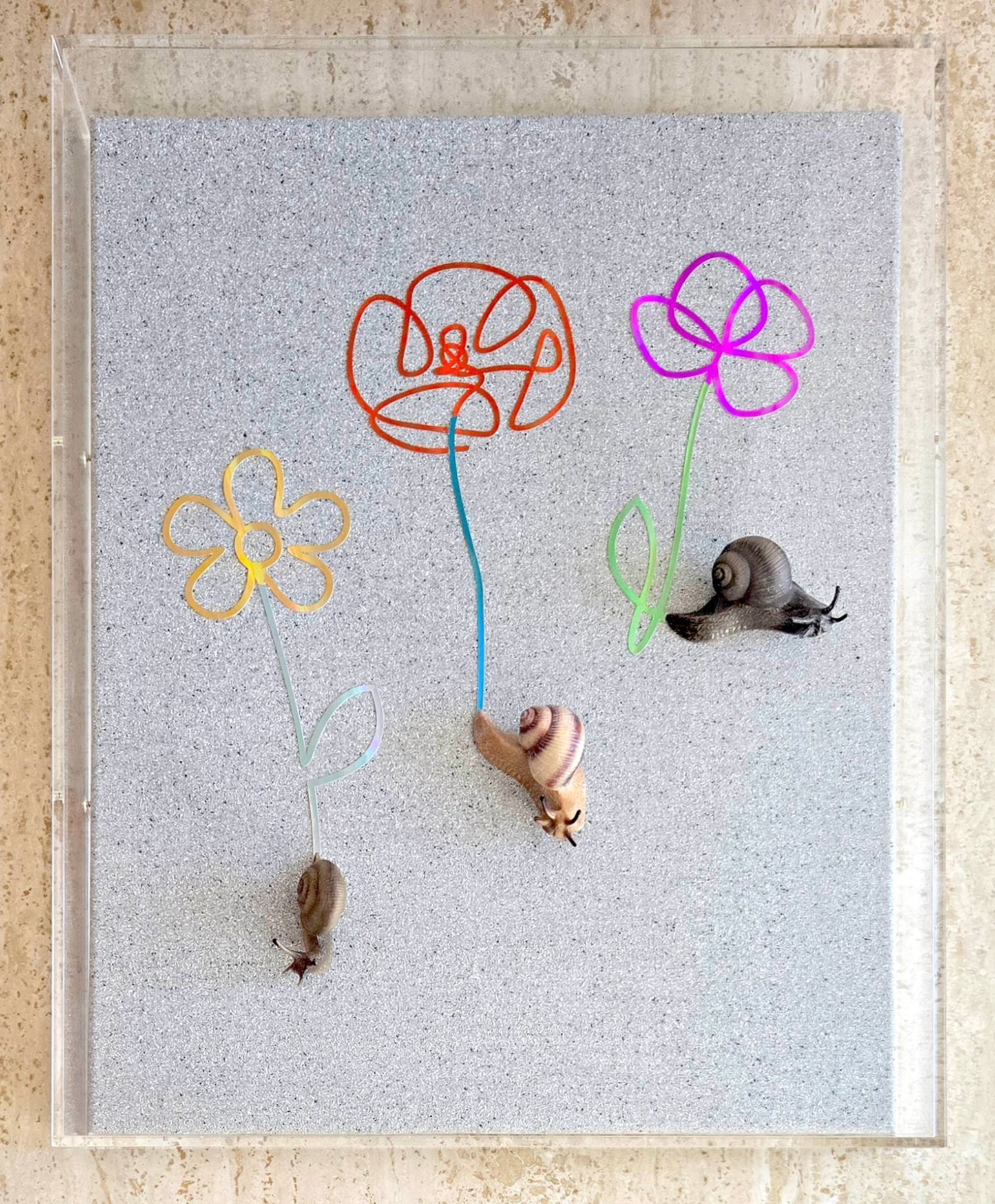 Snail Trail "Slow Alchemy" in Acrylic