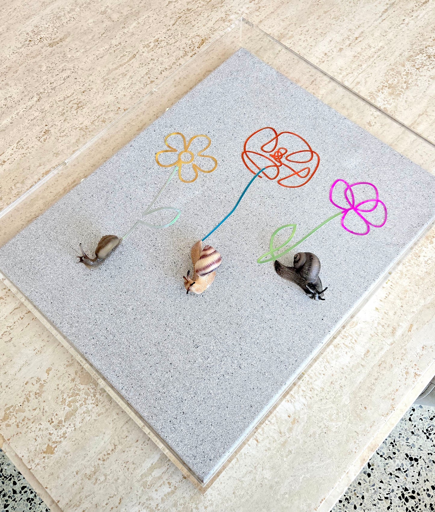Snail Trail "Slow Alchemy" in Acrylic