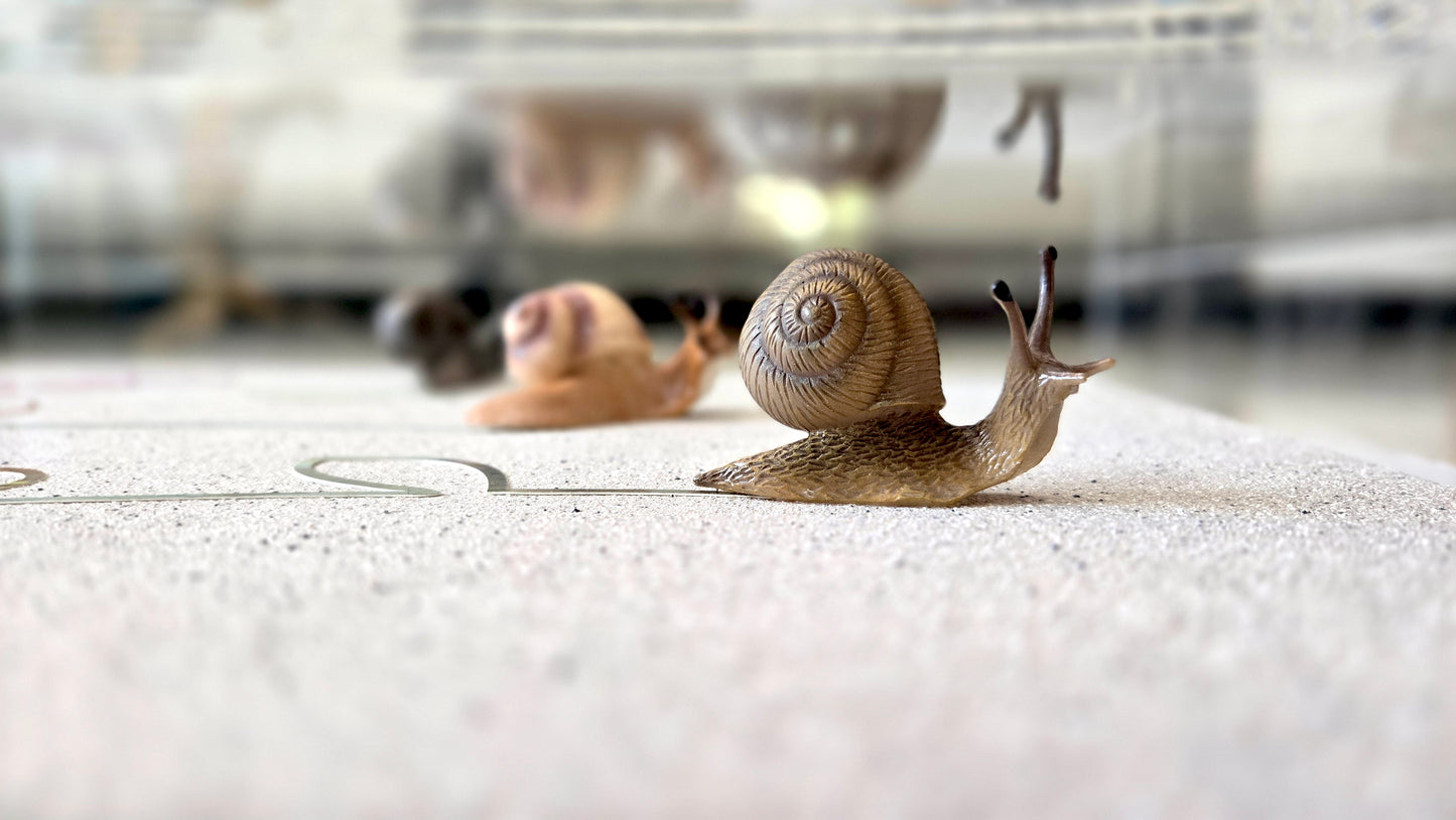 Snail Trail "Slow Alchemy" in Acrylic