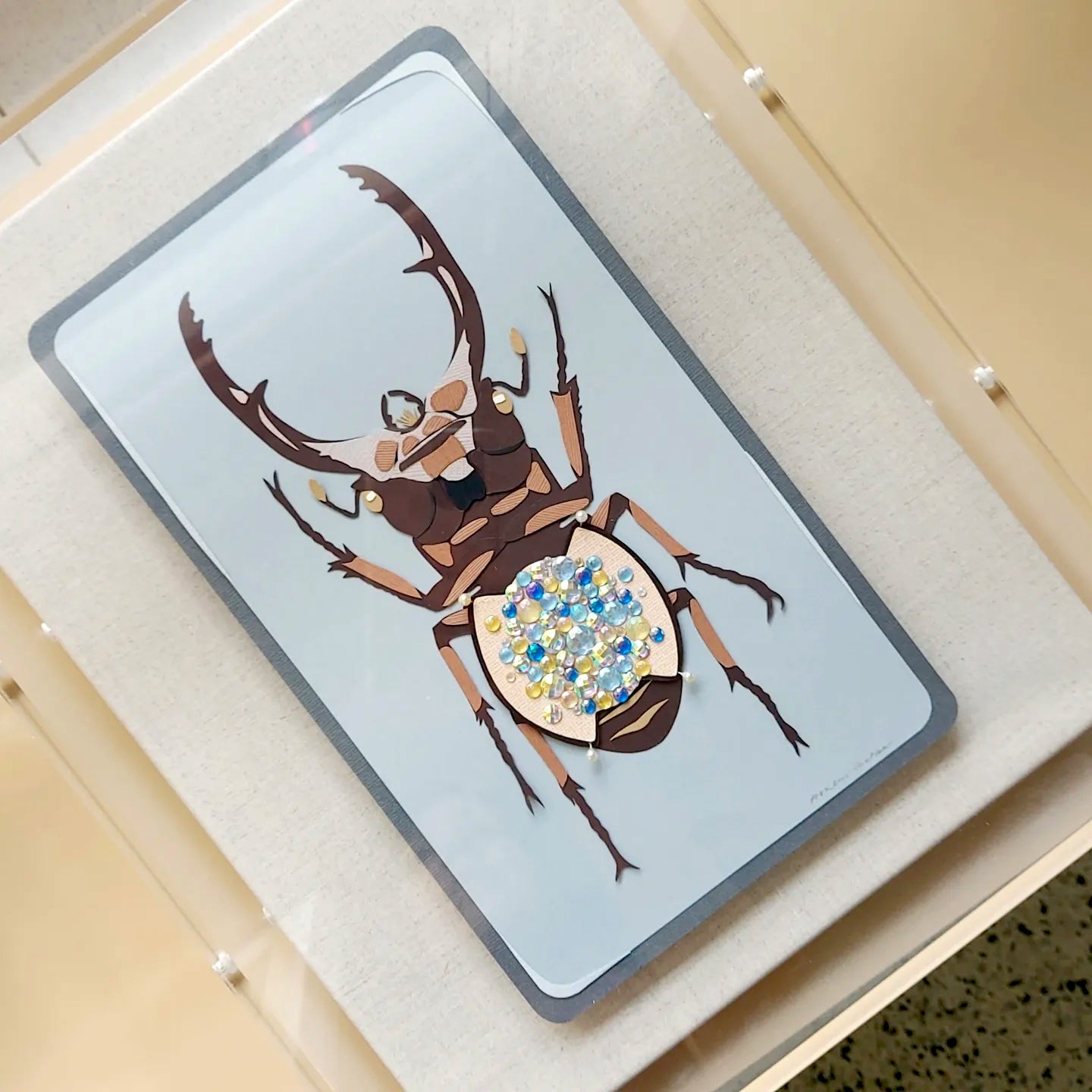 Stag-Beetle Dissection
