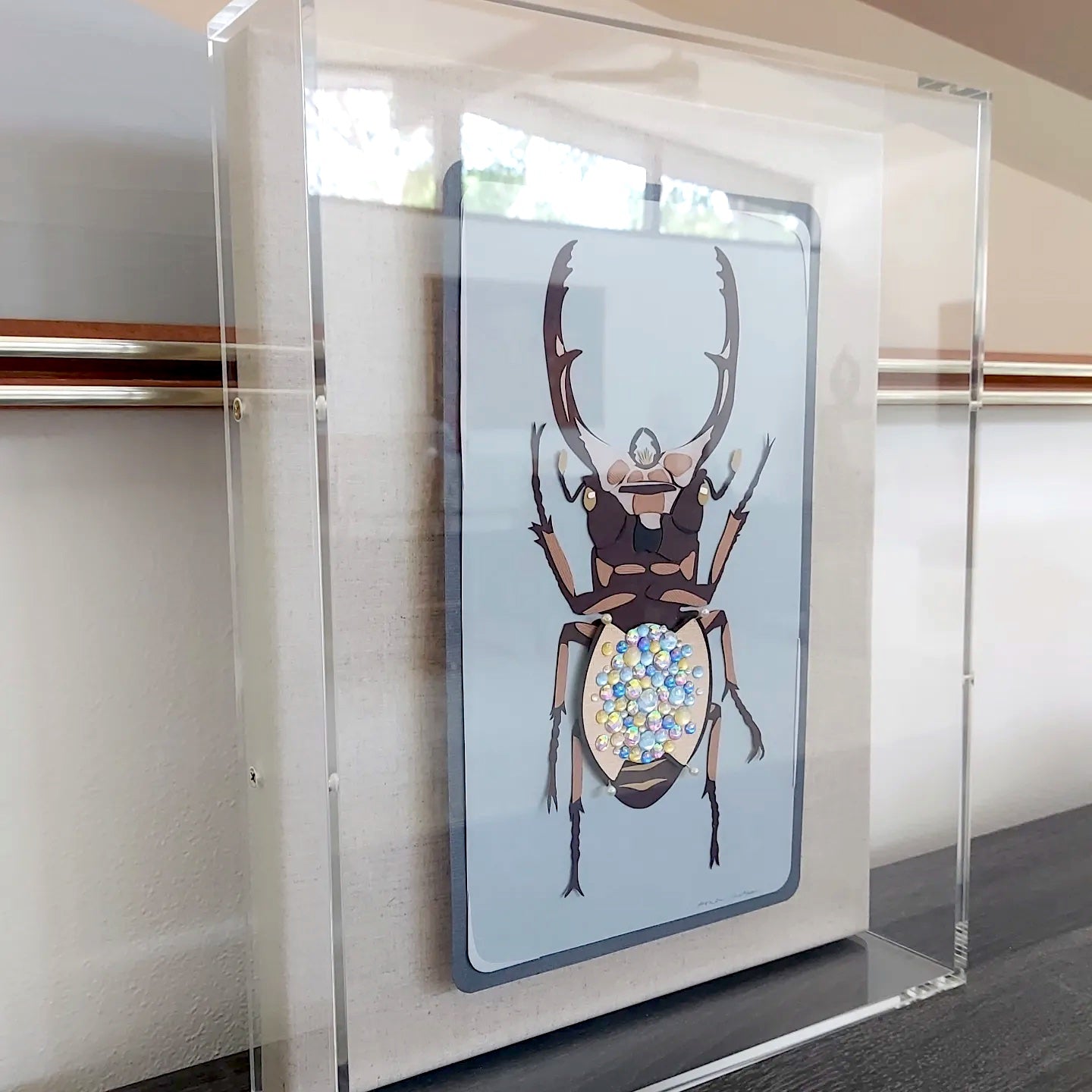 Stag-Beetle Dissection