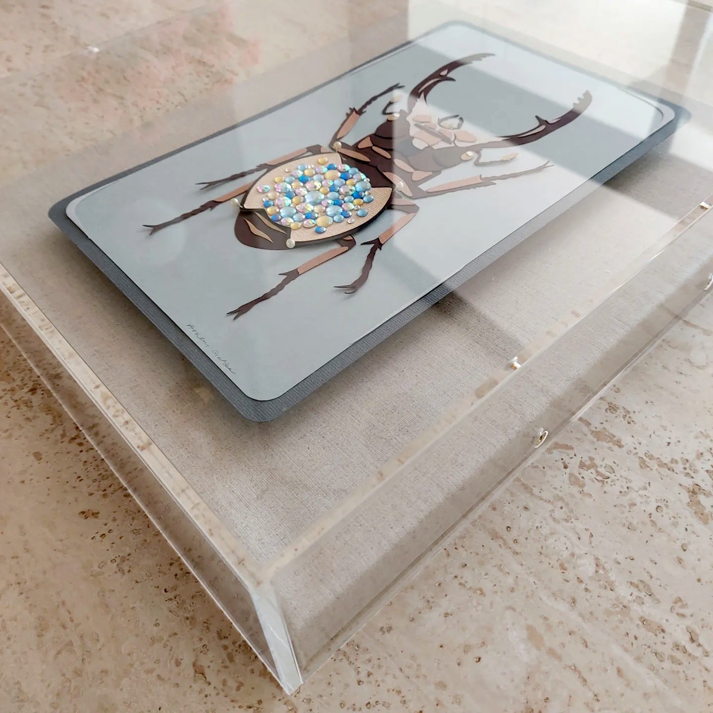 Stag-Beetle Dissection