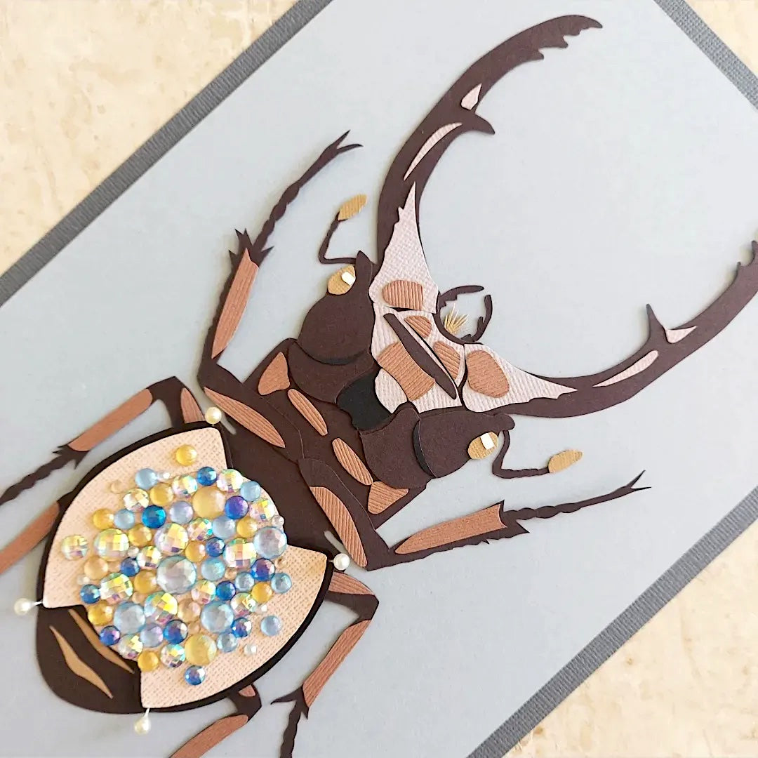 Stag-Beetle Dissection