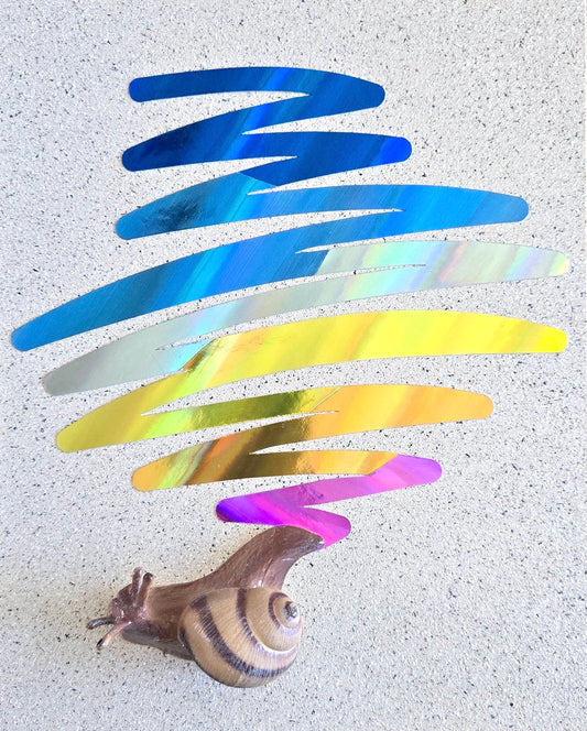 Snail Trail "Scribble" in Blue Rainbow