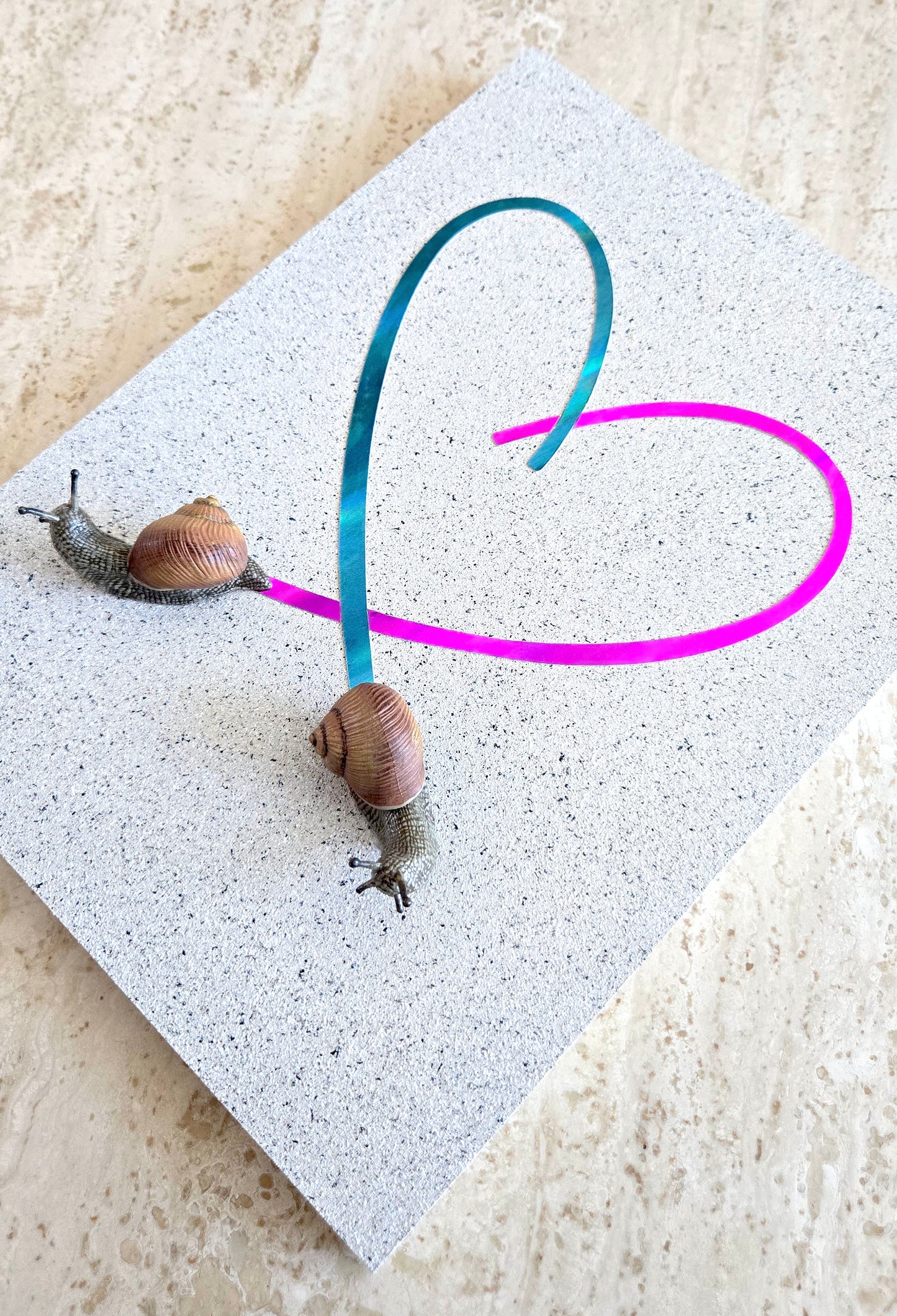 Snail Trail "In Love"