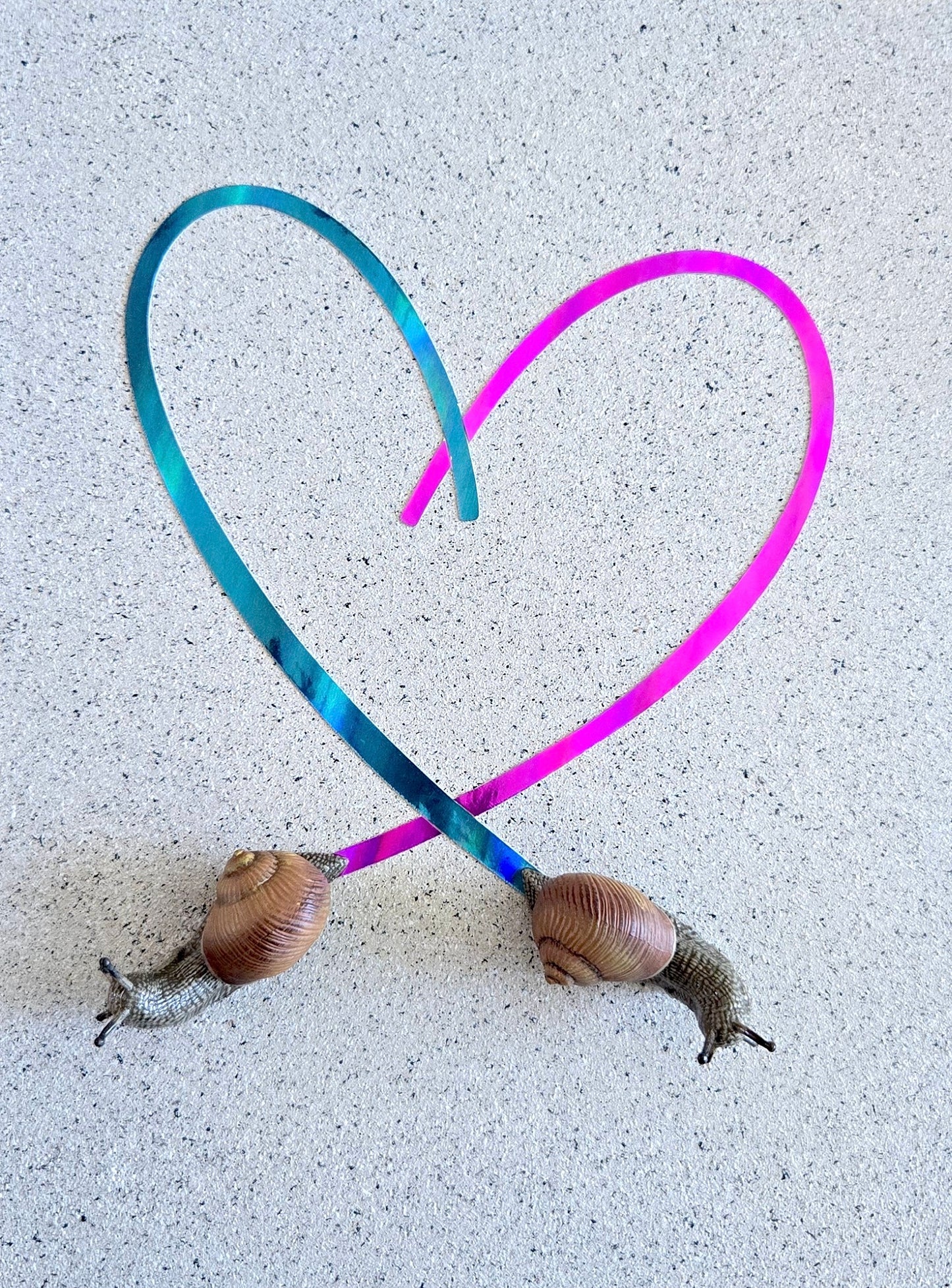 Snail Trail "In Love"