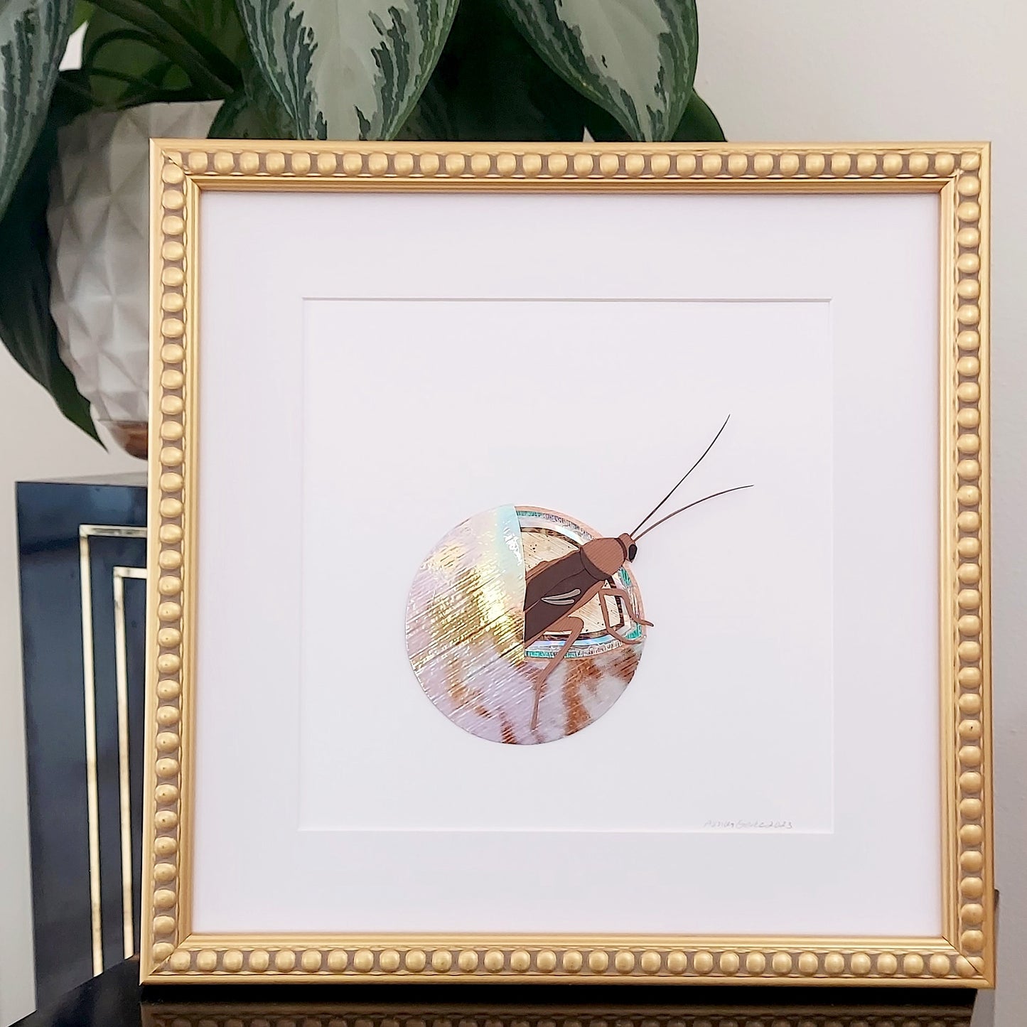 Roach in a Pearl