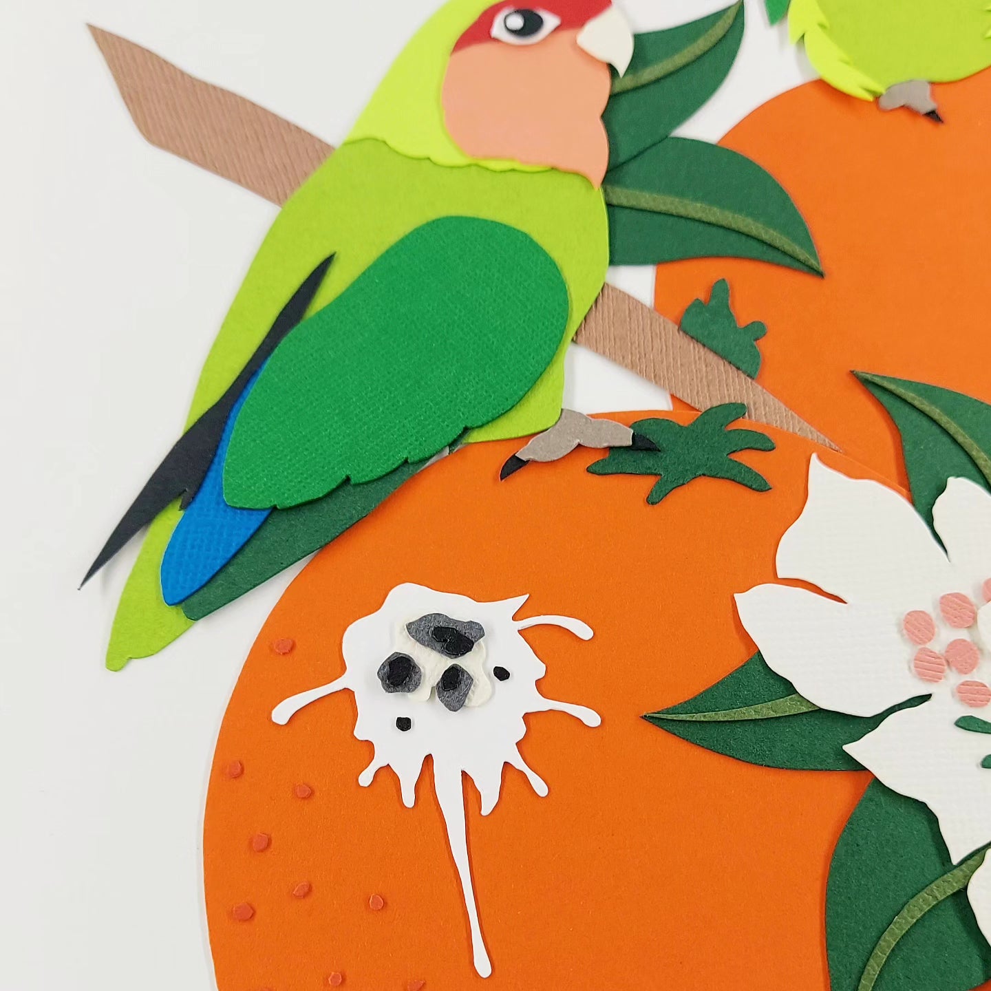 Florida Lovebirds *Limited Edition Print