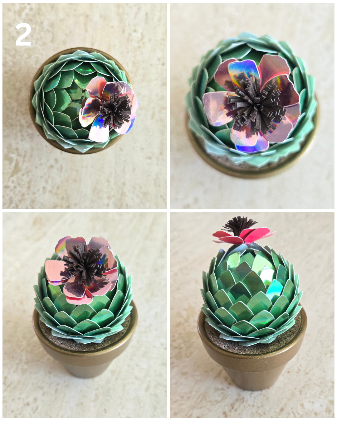 Potted Paper Cacti