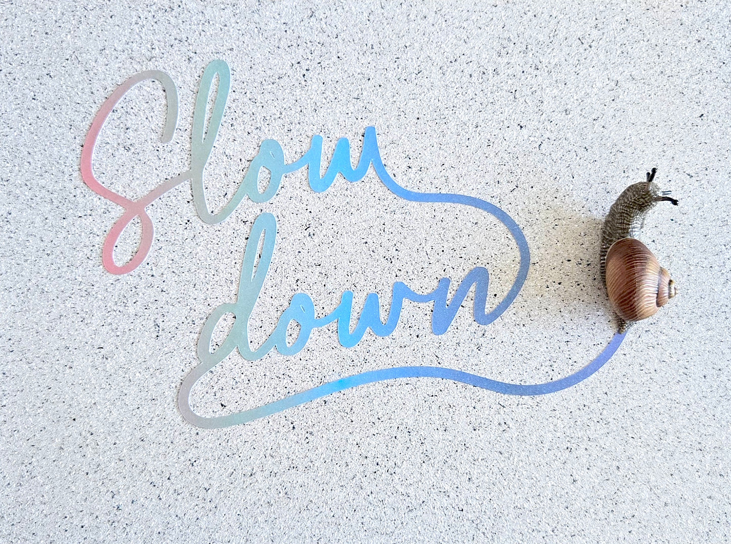 Snail Trail "Slow Down" Pastel Gradient