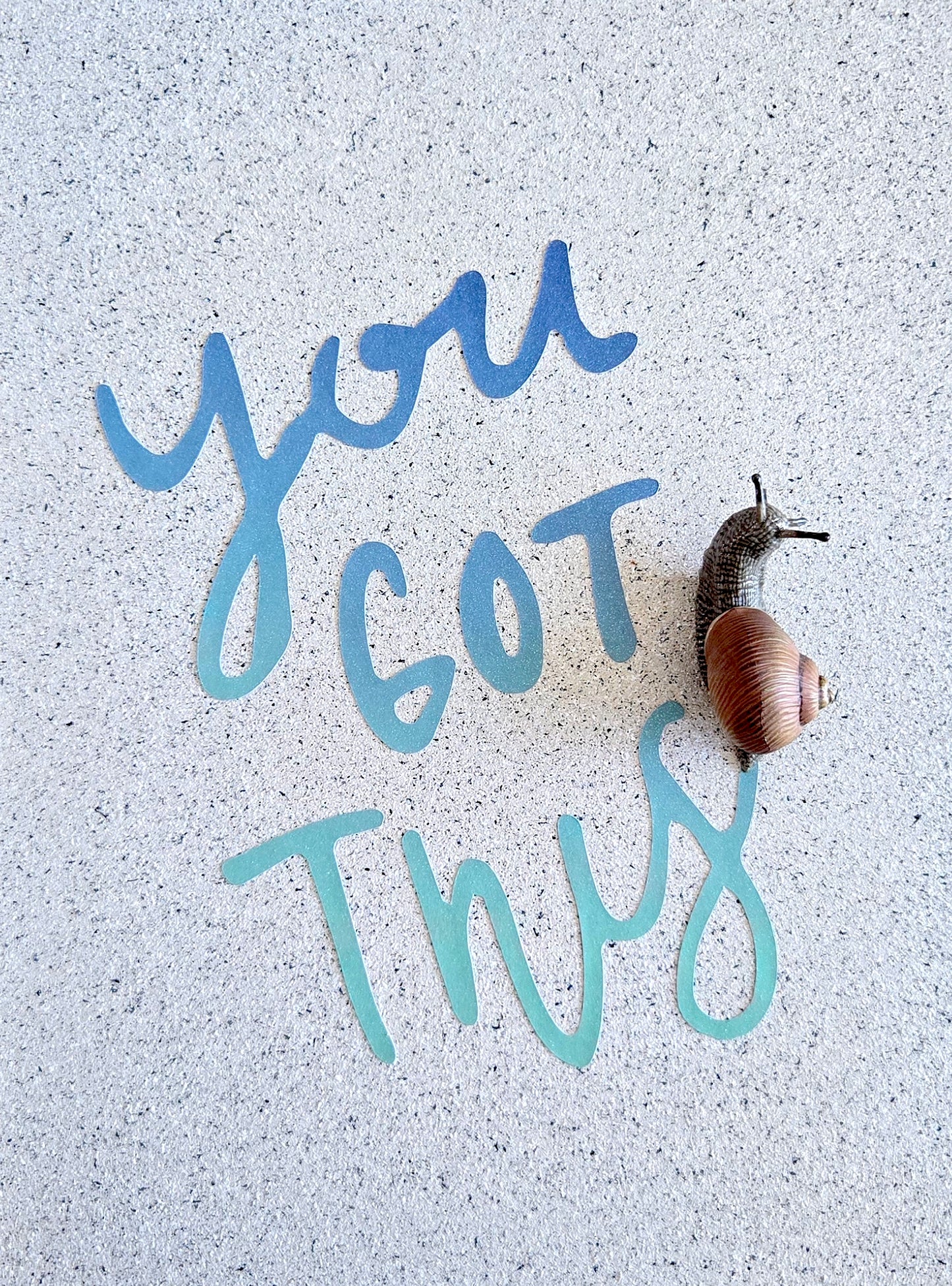 Snail Trail "You Got This"