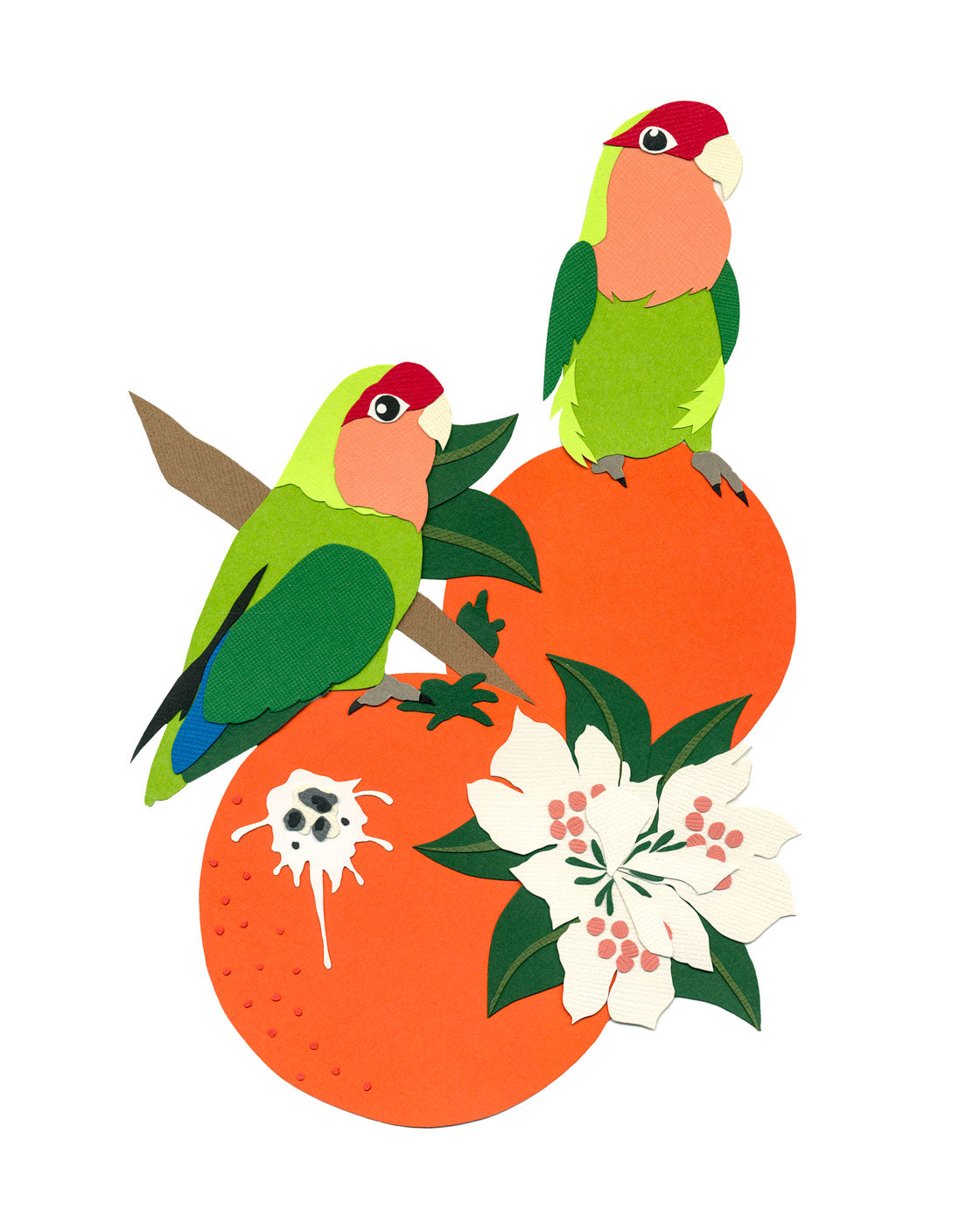 Florida Lovebirds *Limited Edition Print