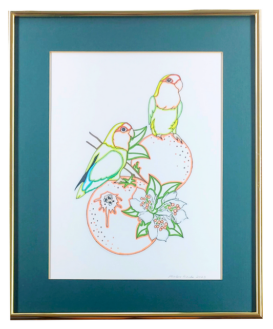 Florida Lovebirds Drawing