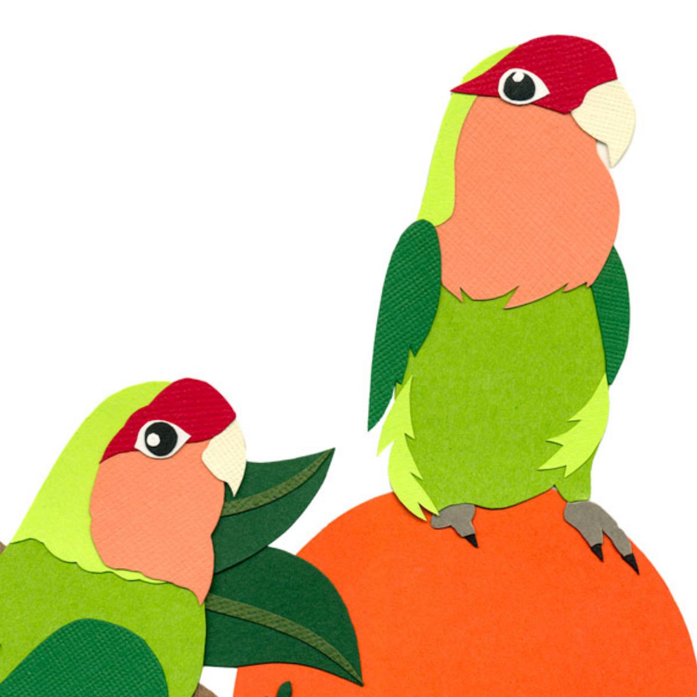 Florida Lovebirds *Limited Edition Print